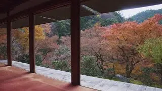 高山寺 - 秋、紅葉 | 京都府京都市右京区