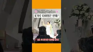 인기축무 필마이리듬 꽃가루 타이밍은 언제? #결혼식댄스 #축무 #결혼식이벤트