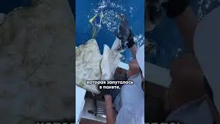 Всё о счастливой женской жизни у меня на канале❤️ #мышление #энергия #психология #путешествия