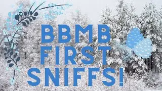January 2024 BBMB First Sniffs! 🌟