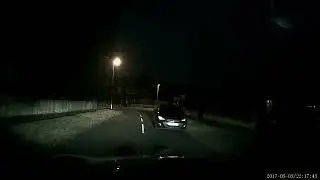 Nighttime Dashcam: Close Call with Two Fighting Cats