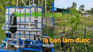 Cách lắp đặt hệ thống tưới gốc cho cây sầu riêng,cây ăn trái (Phần 2)