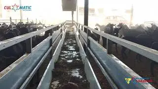 Ganadería y Quesería El Roano - Vagoneta Culmatic V300