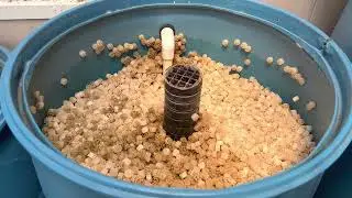 DIY Koi Pond Update 2023: 3-Barrel Filter System First Cleaning