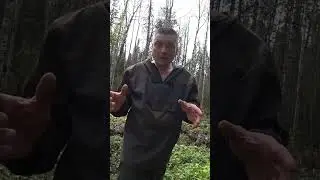 мы эту канитель устанем разгребать 😁😁