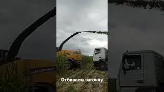 Правильно отбиваем загонку на кукурузе  