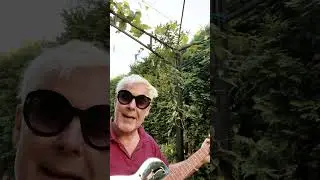 Der Planet  (Playback Garten Teaser 2) #fire #deltablues #katastrophen #firefighter #music