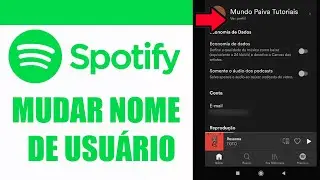 como mudar nome de usuario spotify