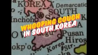 South Korea reports a more than 3200% increase in whooping cough in 2024 to date