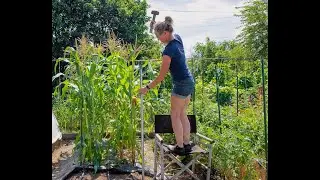 Installing an electric fence.