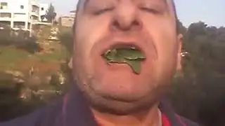 SHAT XNDALU VIDYOYA NAYEQ