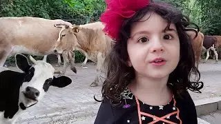 Esmanur Escaped From the Cow Herd!!