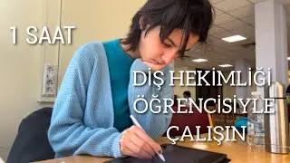 STUDY WİTH ME (1 SAAT) | Diş Hekimi Öğrencisiyle Ders Çalışın | müziksiz,aralıksız,reklamsız