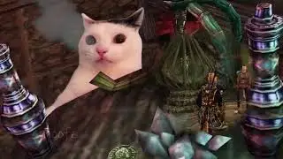 cat smoke morrowind