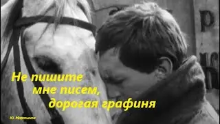 Не пишите мне писем, дорогая графиня