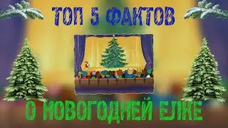 ТОП 5 ФАКТОВ О НОВОГОДНЕЙ ЕЛКЕ