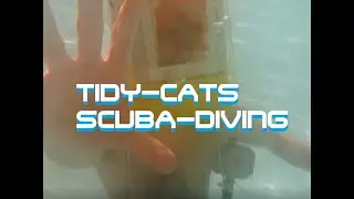 Kitty-Litter Diving Helmets