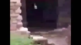Juda kulgili 😉😉😉