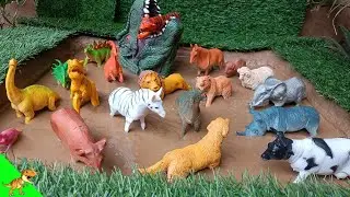 Wild animals & Dinosaur  in mud sandbox | Lion, Cow, Elephant, Sheep, T-rex, stegosaurus |