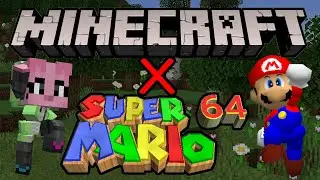 Mario 64 port IN MINECRAFT?
