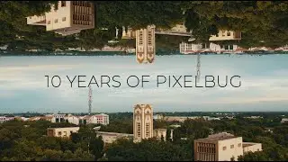 10 Years of Pixelbug