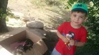 Енотики маленькие