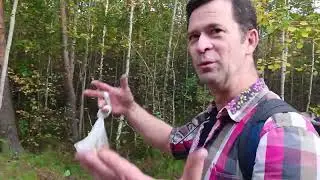 9.09.2024 Идем по лесу от Здохни и Серега ппо конкурс писателей