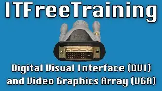 Digital Visual Interface (DVI) and Video Graphics Array (VGA)