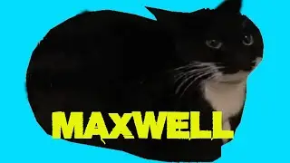 Cat Maxwell | FNF mods