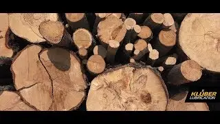 Speciality lubricants: Addressing unique demands of the wood industry