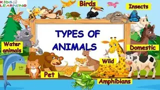 Types of animals IWild, Domestic, Pet, Birds, Insects, Water animals I Types of Animals for kids