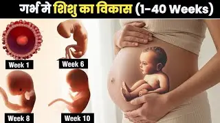 Pregnancy Week by Week | Complete Guide to Baby Development from 1 to 40 Weeks