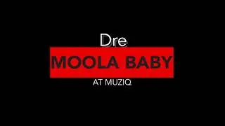 Dre - Moola Baby (clean)