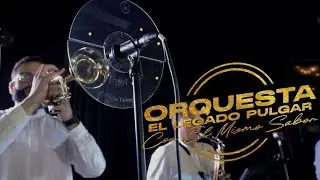 EL LEGADO PULGAR - TABAQUERA