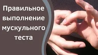 Ответы тела. Мускульный тест.