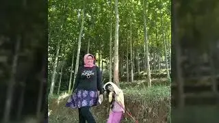 HIking ke Punclut - Rayyan Digjiwa