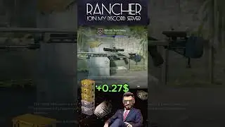 CS2 CASE FARM! FARMING 10 ACCS DAILY! DAY9 