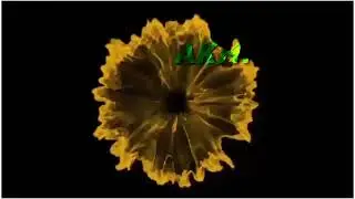Fog Effect Video green screen. Smoke effect gif. Colour smoke effect gif video. AKHIL Rock Technical