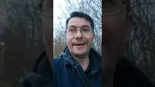 29 марта 2024 г.