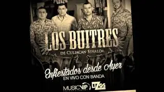 Los Buitres De Culiacan - Sigue La Parranda (Banda) 2015