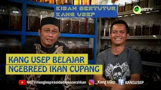 #NGEBREEDIKANCUPANG