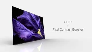 NEW | Sony MASTER Series A9F OLED 4K HDR TV