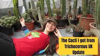 My Cacti from Trichocereus UK Update #cactuscollection #cactus #cacti