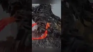 Putrid Avatar Collateral Damage