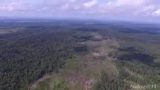 Полёт над лесом. Август 2019. Последствия урагана 2016 года. респ. Марий Эл. Моркинский район..