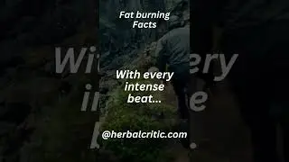 Heartbeats & Calorie Defeat 