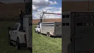 Outstanding in our field… on a ladder… on top of a horse trailer…#dadjoke #farmerjokes