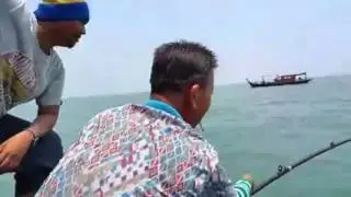 Ikan Senangin Besar Mancing Di Laut Dalam ~ Strike ~ Mancing Mania Mantap