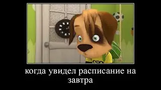 Муд Барбоскины #1 | speedyads