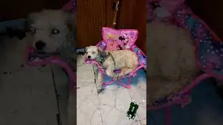 Phyllis in pink chair.